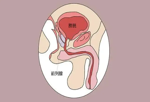 注意！縱欲和禁欲，最受傷的還是男人的這個器官！(圖1)