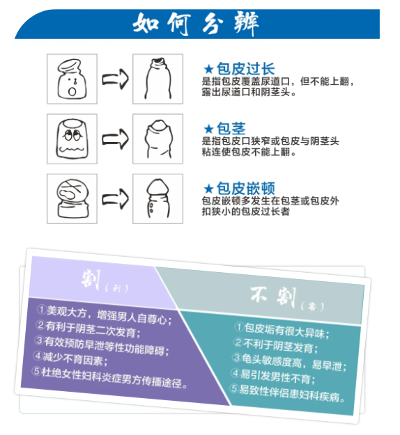 包皮過長丨別讓精彩世界被它遮?。?圖1)